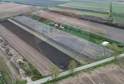 Teren de 10869 mp, în Mirceștii Vechi - 4