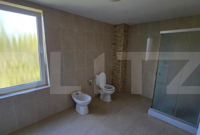 Casa de vanzare, cu 4 dormotoare si 10 ari teren, zona Unire - 13