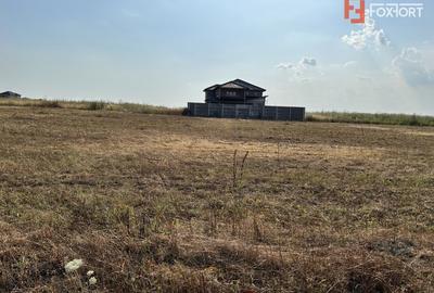 Teren Construcții intravilan de 700 mp, în Sânandrei - 4