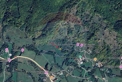 Comision 0 % | Teren extravilan 1000 mp | Cheile Ra?noavei - 6