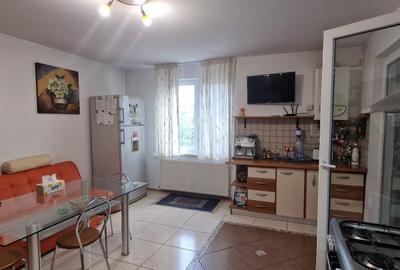 Vanzare Casa 6 camere, zona Viilor-Parcul Carol - 8