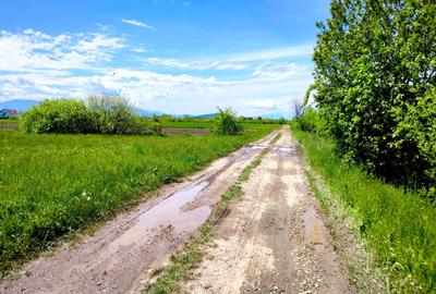 Teren intravilan de 5000 mp, în Hărman - 3