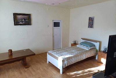 De vanzare casa individuala in Seica Mica - 8