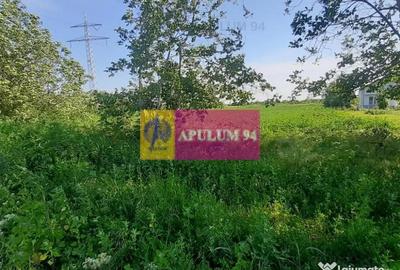 Teren de 5000 mp, în Copăceni - 5
