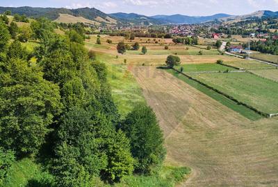 Teren Manastirea Humorului / Strada Principala 22,238 MP - 1