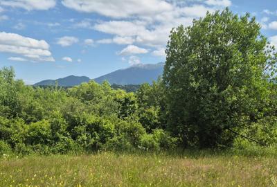 Teren Tohan parcelat in zona pitoreasca - 7