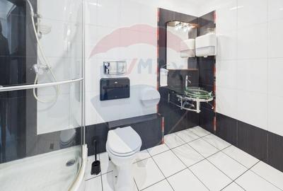 Apartament cu 5 camere decomandat, mobilat în Herăstrău - 17
