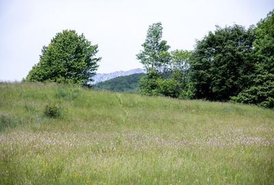 Teren intravilan - 1.050 mp în Bran cu utilitati - priveliște Bucegi - 6