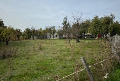 Teren Construcții intravilan de 2644 mp, în Viișoara - 2