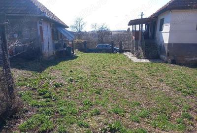 Casă cu Teren 6996 Mp în Cerișor - 10