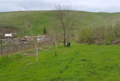 Vand casa cu teren 1 hectar - 4