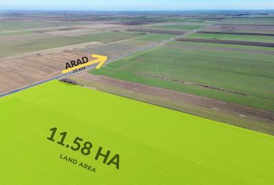 Teren agricol extravilan de 11.579999923706 mp, în Șeitin - 3