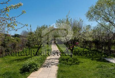 O Poveste de Vis pe Malul Lacului Snagov - 47