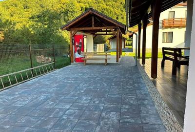 Casa de vacanță 4 camere la cheie,500mp teren,Câmpul Cetății - 16