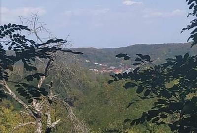 Casă de vânzare la liziera pădurii - Comuna Bogați, Argeș - 16