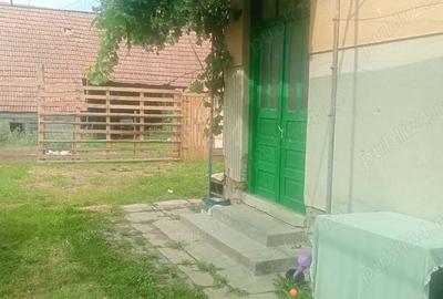 Casa de vanzare Benesti Sibiu - 8