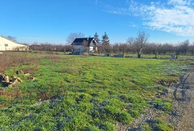 Teren de 6285 mp, în Tărian - 5