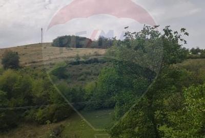 Teren constructii si faneata/livada 3082 mp Damis Bratca drum DJ 764D - 17