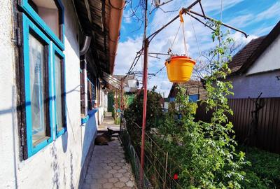 Casă cu 2 camere în Central - 1