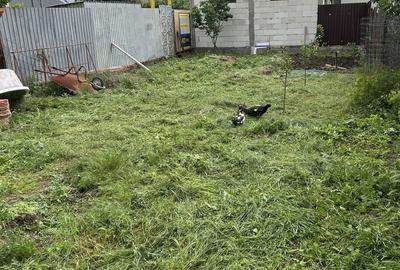 Spațiu comercial, în Pisc - 1