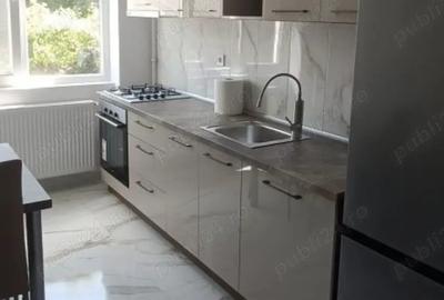 Inchiriez apartament zona centrala langa politie Vasile Lupu - 450 euro - 3