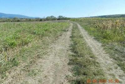 Teren extravilan arabil, situat in Oravita, Jud Caras-Severin - 1