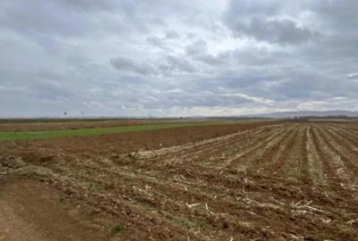 Teren de 2500 mp, în Horodnic - 7