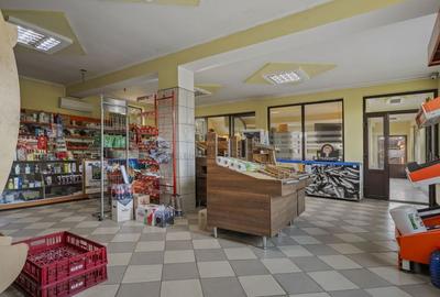 Comision 0% 2 case Vila + Spatiu Comercial + Curte Proprie - 11