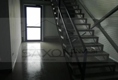 Hala depozitare sau productie   Drumul intre Tarlale,  600MP - 13