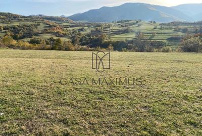 Teren Construcții extravilan de 972 mp, în Rășinari - 7