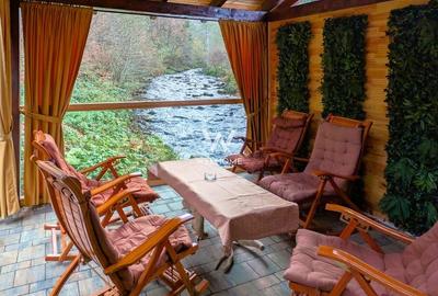 Cabana / Casa de vacanta pe Transfagarasan - Sibiu - 11