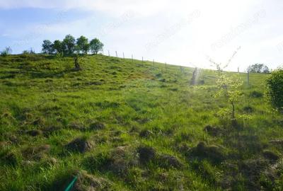 Teren 38,592mp Sighetu Marmatiei / Strada Mocani?ei - 4