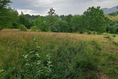 Teren intravilan 1000 mp - 2