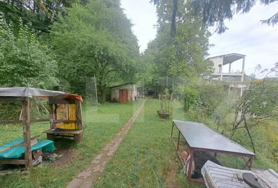 Casă cu 2 camere cu Teren 1000 Mp în Vulcan - 4