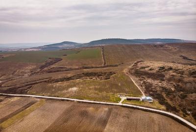Teren agricol extravilan de 1150000 mp, în Dud - 9