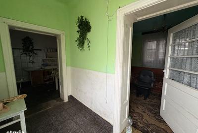 Casă cu 4 camere cu Teren 3767 Mp în Borș - 1