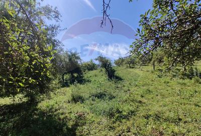 Teren de 3718 mp, în Remetea Chioarului - 1