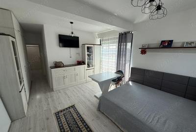 Apartament cu 3 camere decomandat, mobilat în Palazu Mare