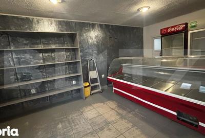 Casă cu 4 camere cu Teren 462 Mp în Craiovița Nouă - 9