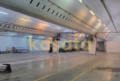 Spatiu de depozitare/productie de inchiriat-Pantelimon - 5