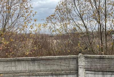 RECO vindem teren intravilan in Suncuius - 5