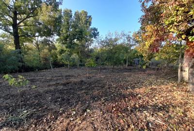 Teren 2900 m2, com. Salcuta, Jud. Dolj - 1