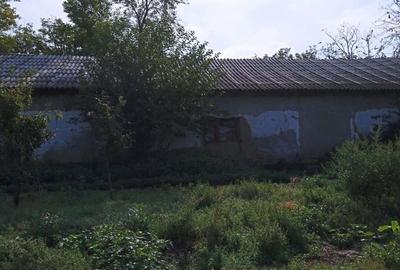 Teren de 1335 mp, în Grădiștea - 7