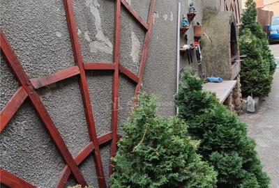 2 cam - zona Parneava - la casa - 6