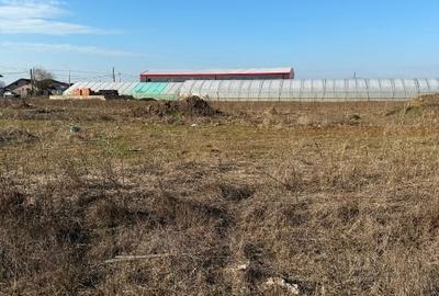 Vand teren Dobreni - Giurgiu - iesire din comuna Berceni - 5
