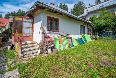 Teren casa de vacanta in Busteni - langa padure- vedere spre Bucegi - 19