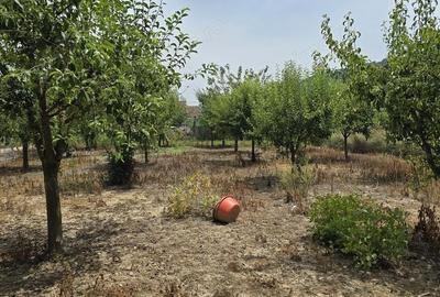 Casă cu 6 camere în Leșnic - 7