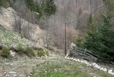Teren de 6000 mp, în Dâmbovicioara - 8