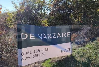 Spațiu comercial, în Cârcea