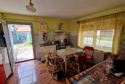 Casa individuala, 3 camere, 259mp teren, zona ultracentrala - 10